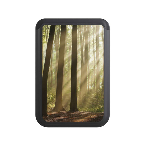  Cardholder Im Wald