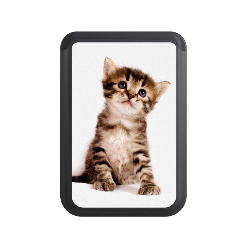  Cardholder Chaton Mignon