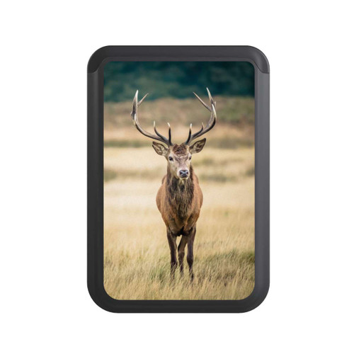  Cardholder Roi de la Forêt