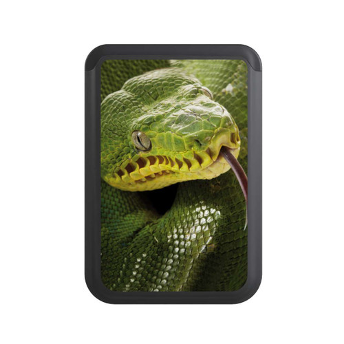  Cardholder Natter