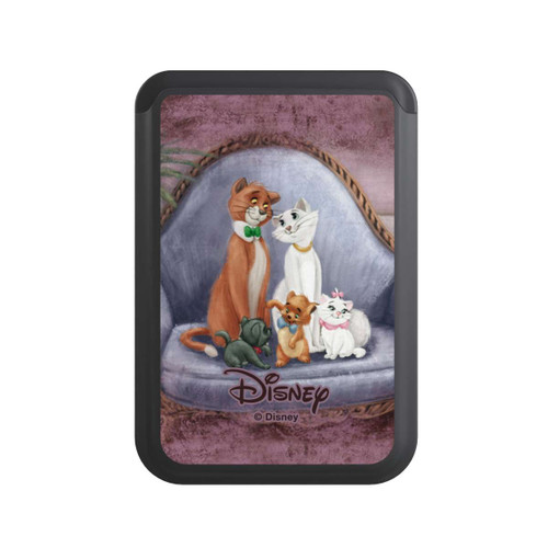  Cardholder Aristocats