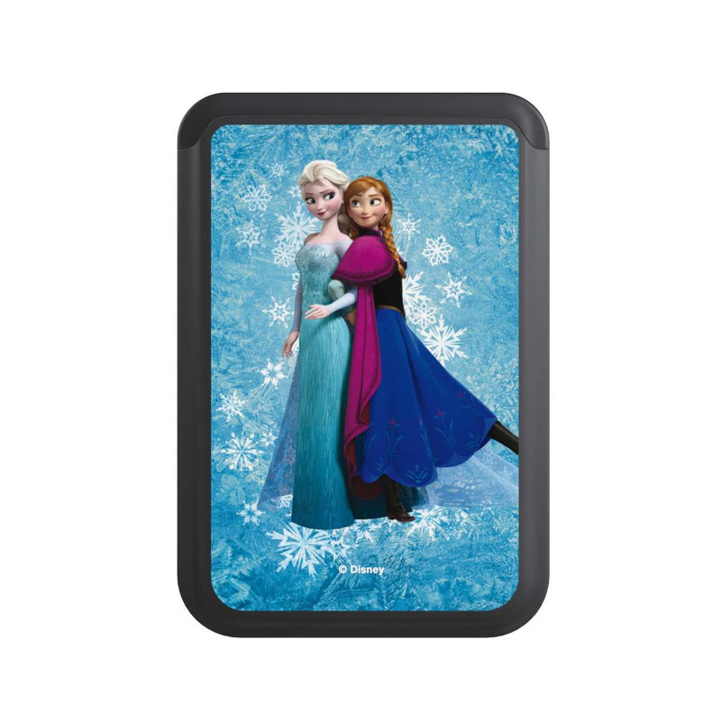  Cardholder La Reine des Neiges - Sœurs