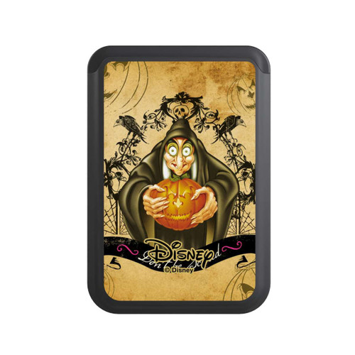  Cardholder Wicked Witch