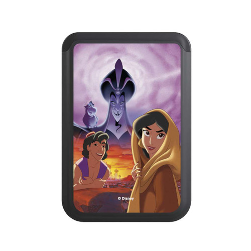  Cardholder Aladdin &amp; Jasmine