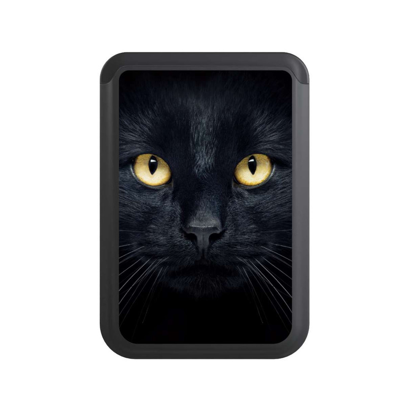  Cardholder Tom Cat