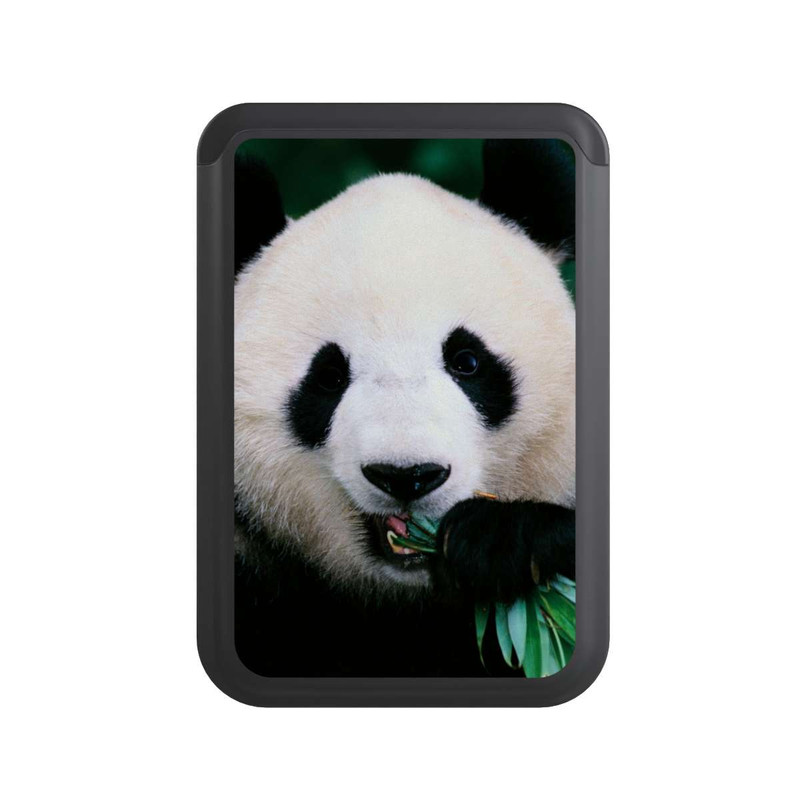  Cardholder Panda mit Bambus