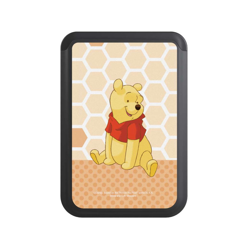  Cardholder Winnie the Pooh