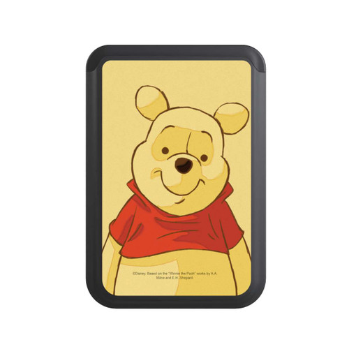  Cardholder Pooh the Bear