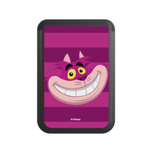  Cardholder Grinsekatze