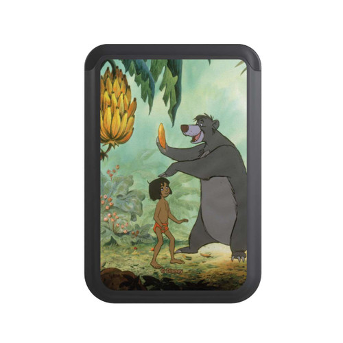  Cardholder Mowgli und Baloo