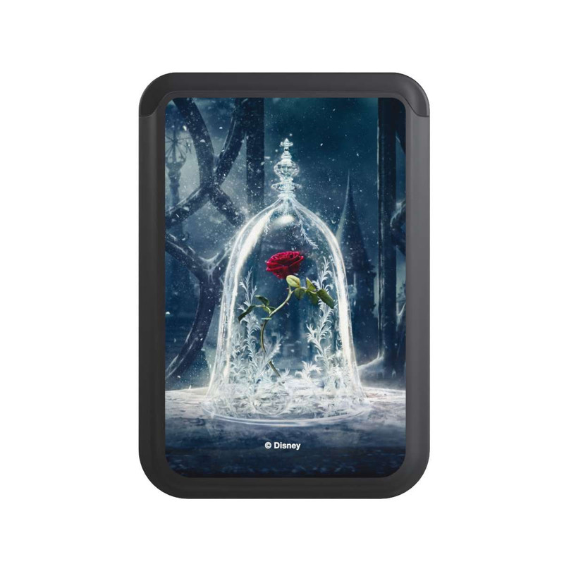  Cardholder Rose Under Glass Movie