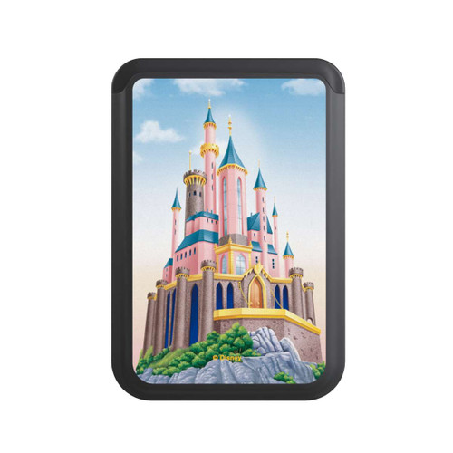  Cardholder Disney Castle
