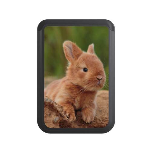  Cardholder Kaninchen