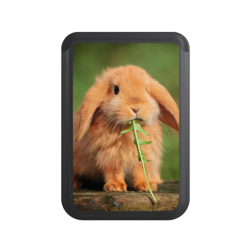  Cardholder Kaninchen mit Grünzeug