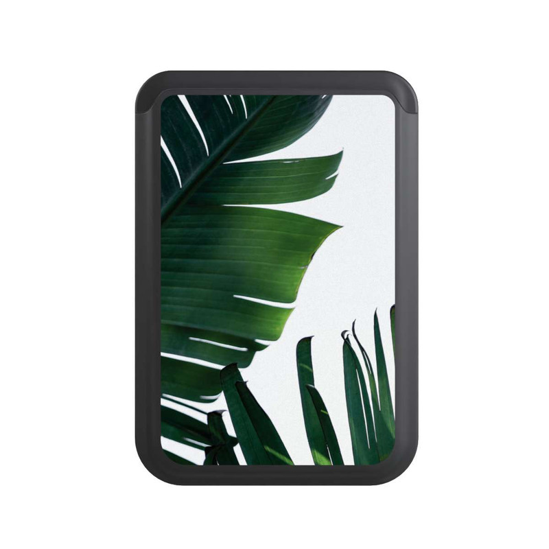  Cardholder Feuilles de palmier 1