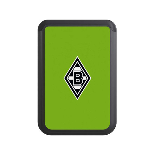  Cardholder Borussia Raute Grün