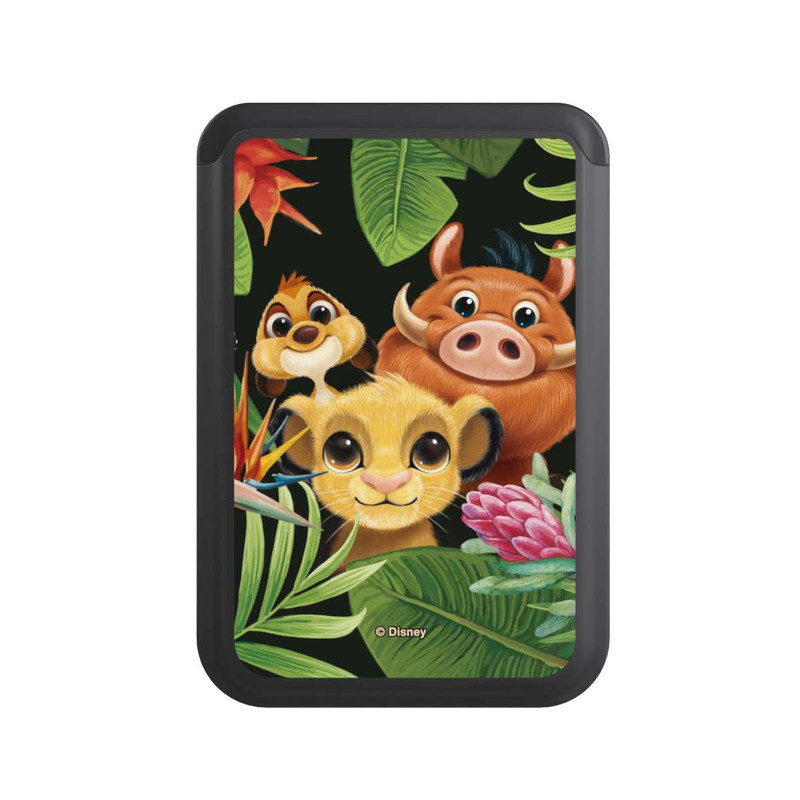  Cardholder Simba's Friends