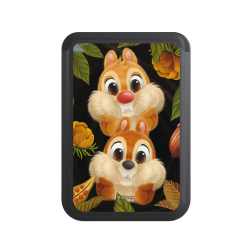  Cardholder Chip und Chap