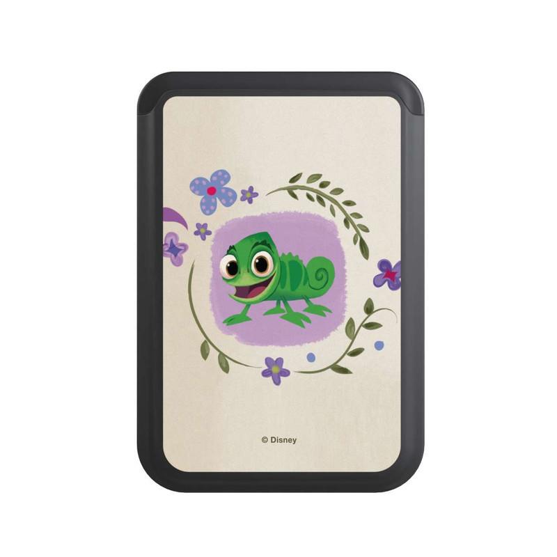  Cardholder Caméléon Pascal