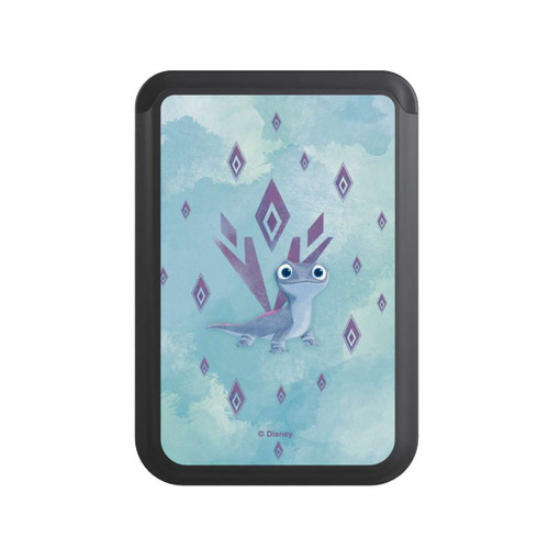  Cardholder Bruni Salamander