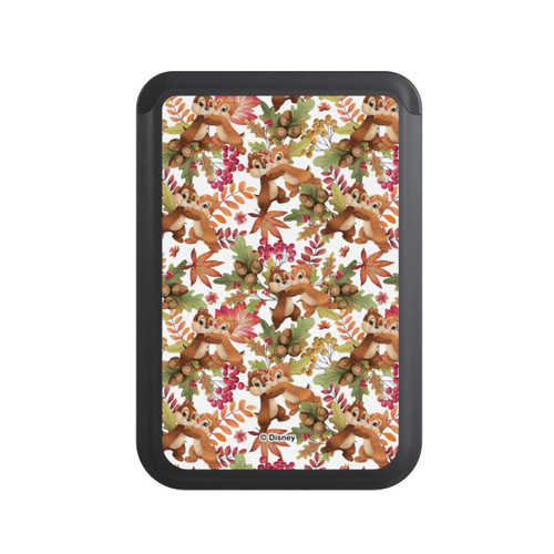  Cardholder Chip 'n Dale Pattern