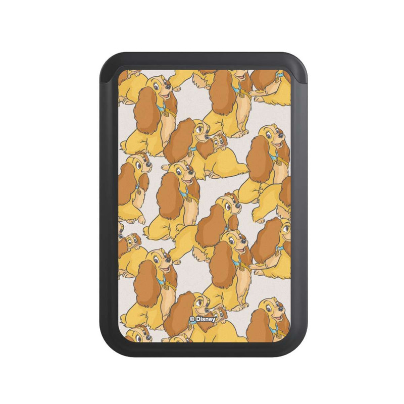  Cardholder Susi Pattern