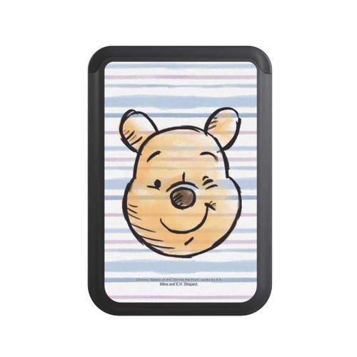  Cardholder Winnie the Pooh on Stripes 