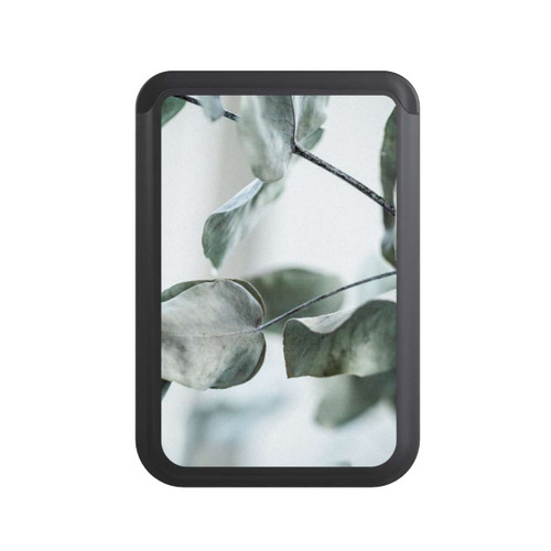  Cardholder Eucalyptus 8