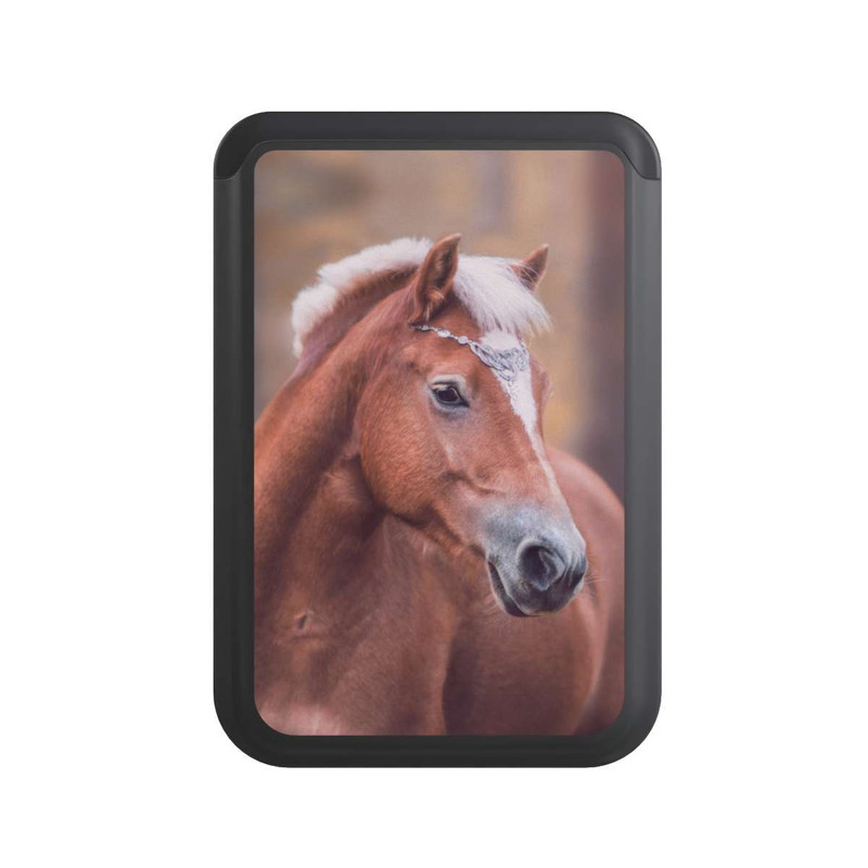  Cardholder Portrait d'un Haflinger