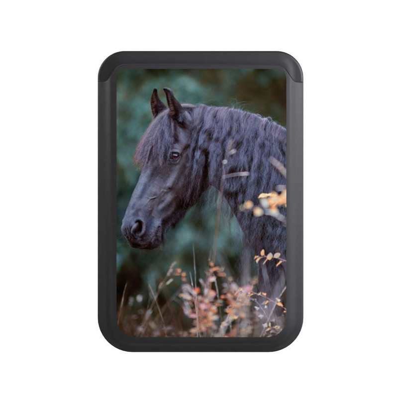  Cardholder Portrait d'un Frison