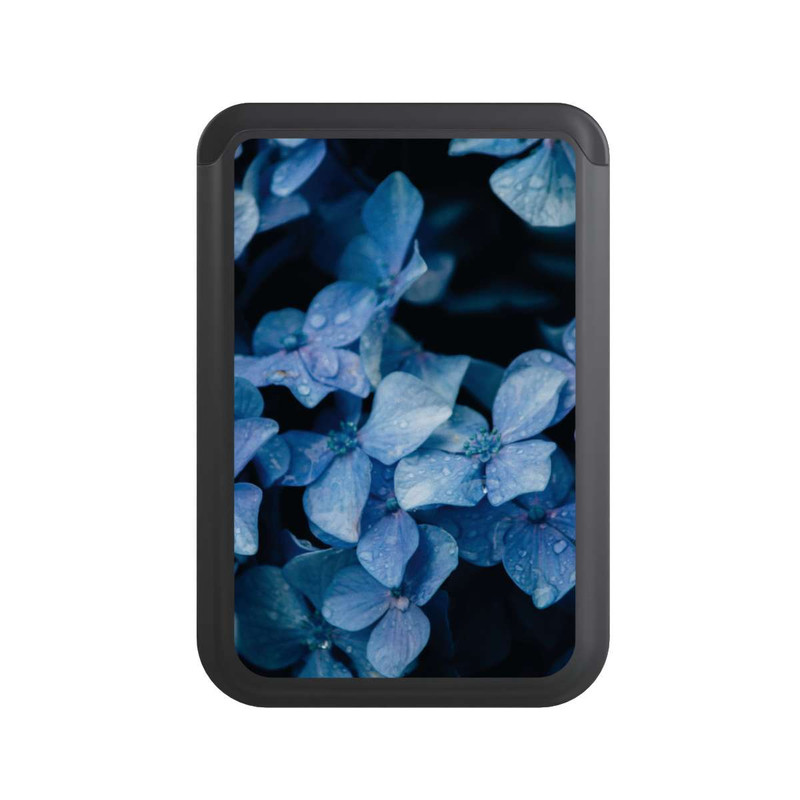  Cardholder Blaue Blüten