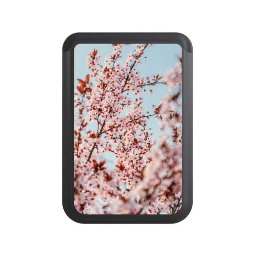  Cardholder Kirschblüten Fotografie