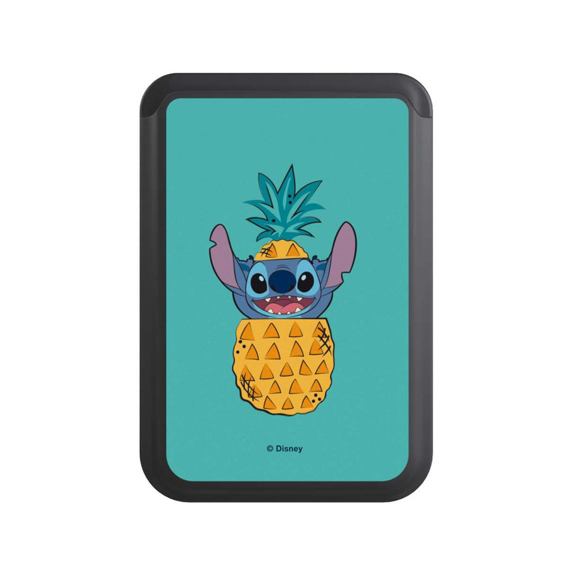  Cardholder Stitch Ananas