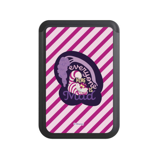  Cardholder We Are All Mad Here Stripe