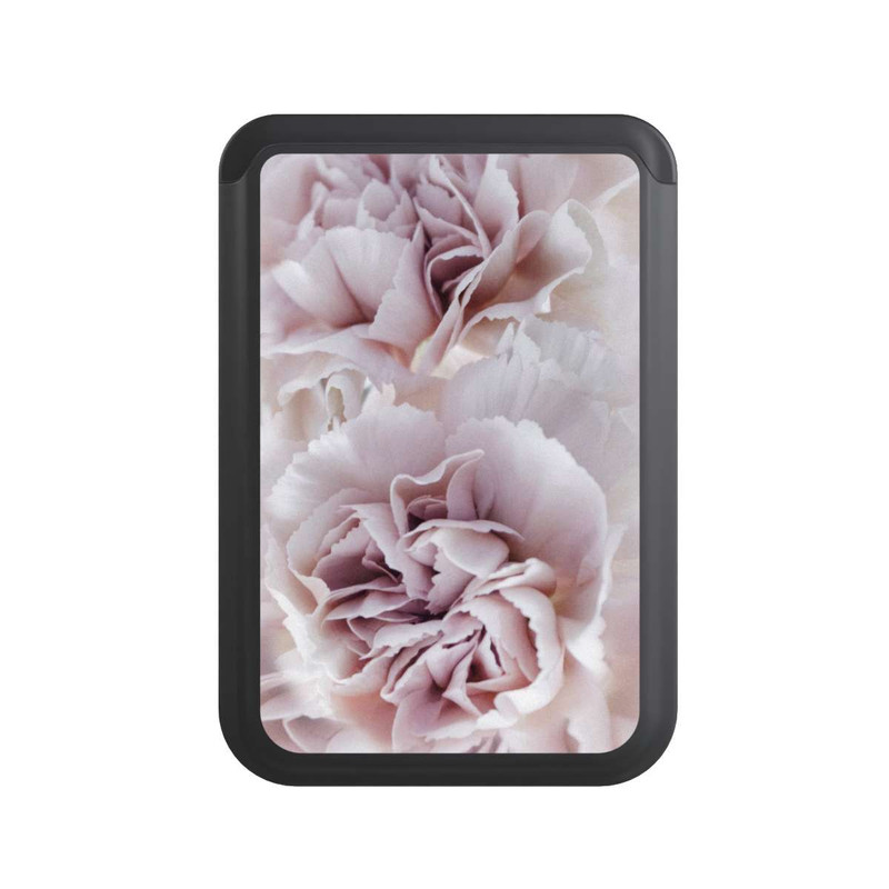  Cardholder Blühende Nelke