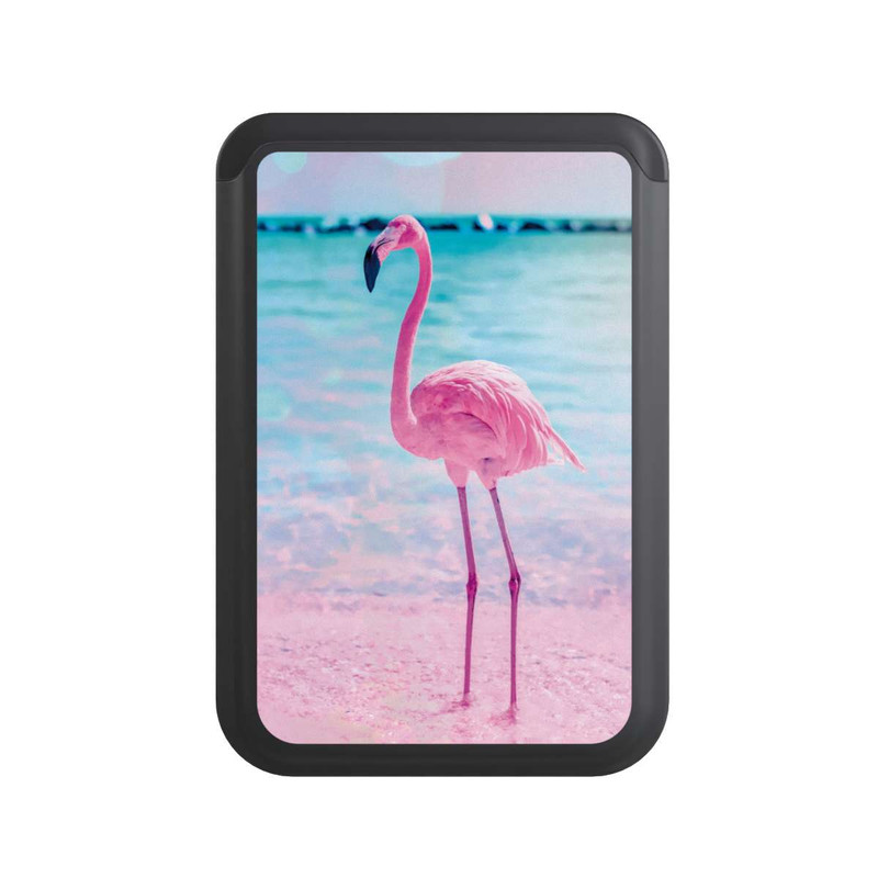  Cardholder Fantaisie Flamant Rose