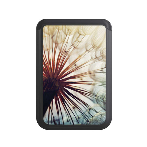  Cardholder Dandelion 1