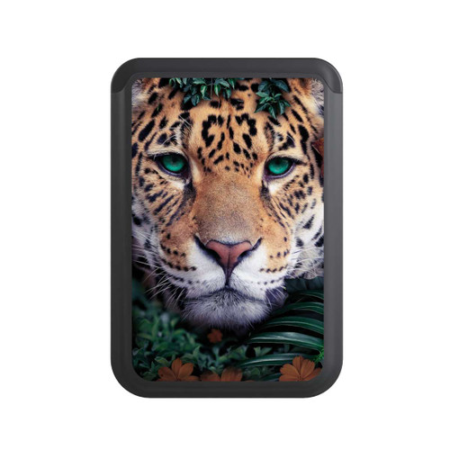 Cardholder Jaguar in the jungle green