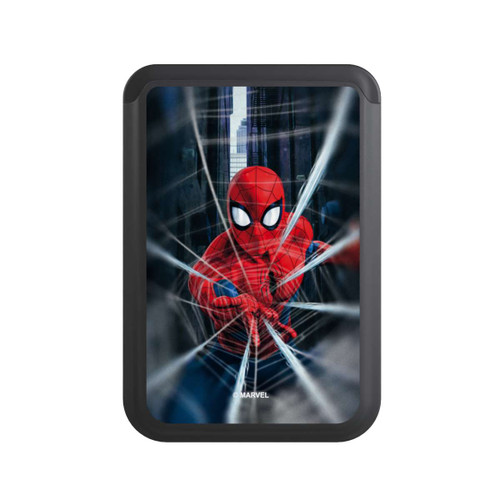  Cardholder Spider-Man Webs In Action