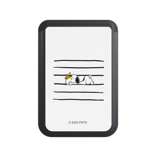  Cardholder Snoopy Woodstock Stripes