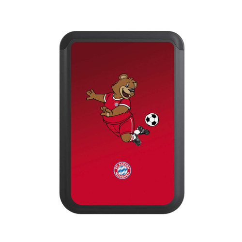  Cardholder Bernie Tricks