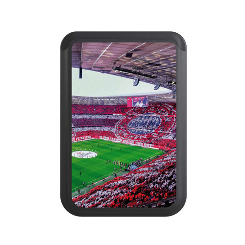  Cardholder FCB Stadium Grandstand