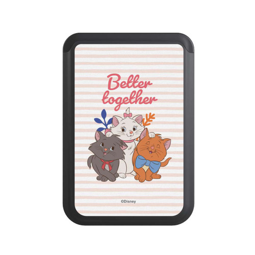  Cardholder Aristocats Stripes