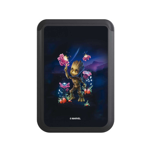  Cardholder Baby Groot Flowers