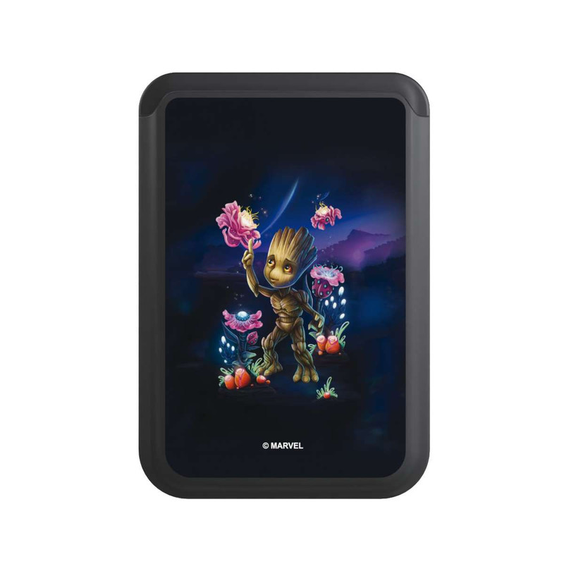  Cardholder Baby Groot Fleurs