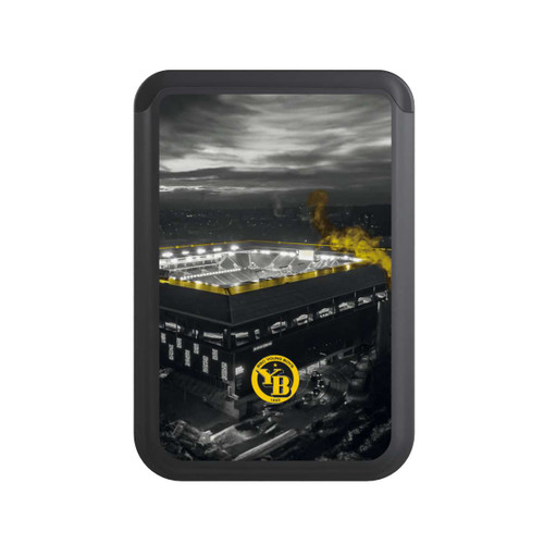  Cardholder BSC Young Boys Stadion