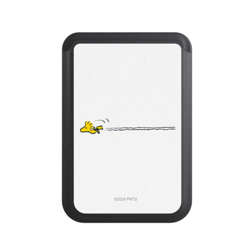  Cardholder Peanuts Woodstock