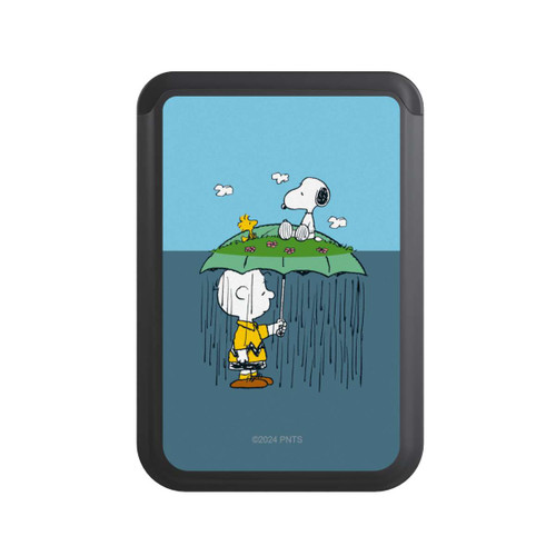  Cardholder Charlie Brown Regen