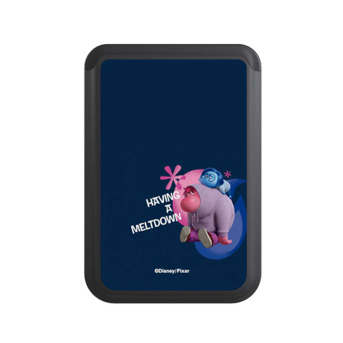  Cardholder Embarrassment and Sadness