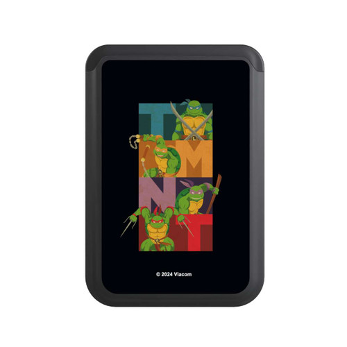  Cardholder TMNT Colored